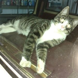 Meet your Posher, Slimfls